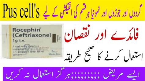 Rocephin Injection Rocephin Injection Uses In Urdu Hindi Ceftriaxone