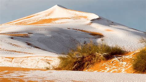 Cubierto De Nieve Así Quedó El Desierto Del Sahara Tras El Paso De Un