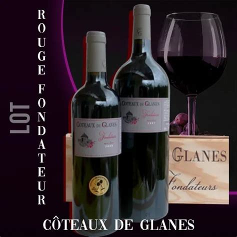 Rouge Fondateur C Teaux De Glanes Vin Rouge Cahors