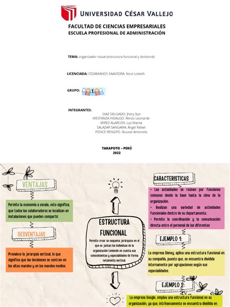 Organizador Visual Estructura Divisional Y Funcional Pdf Negocios Económicos Economias