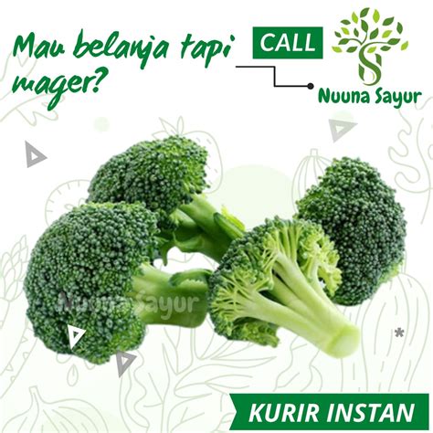 Jual Sayur Sayuran Segar Fresh Brokoli Hijau Broccoli Gr Serang