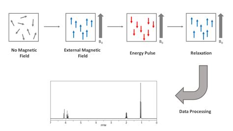 Nmr Principle