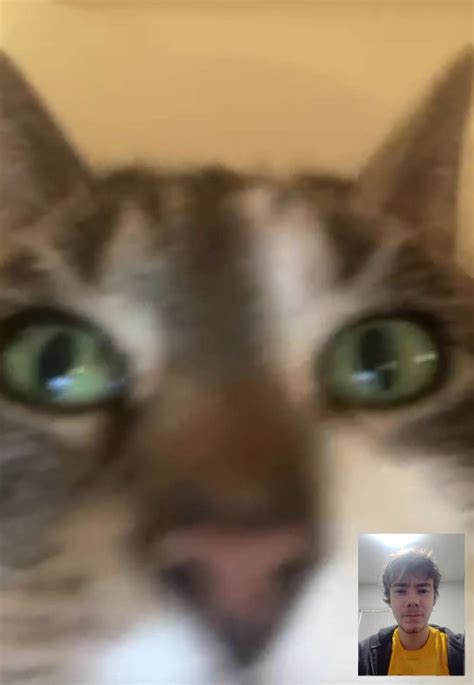 Fundy Updates On Twitter Rt Fundylive My Dad Made Me Facetime My