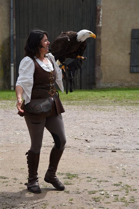 Moyen Spectacles de fauconnerie organisés par l Association du château