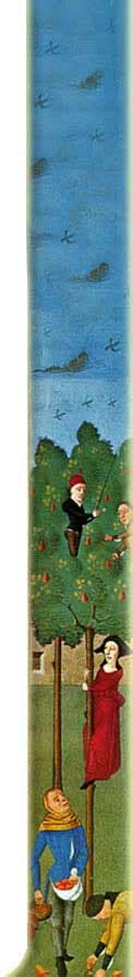 Medieval History of France