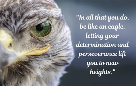 255 Epic Eagle Quotes To Uplift Your Spirit