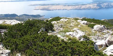 Visit Northern Velebit National park, how to get to Velebit