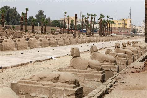 Avenue Of Sphinxes In Luxor Temple Luxor Egypt Stock Photo At