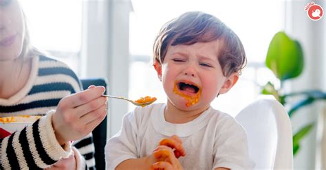 在外用餐孩子哭鬧怎麼辦？教養專家教 3 招，讓寶貝乖乖吃飯不搗蛋 Heho親子