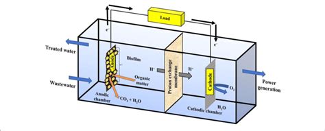 Schematic Representation Of A Typical Microbial Fuel Cell Download Scientific Diagram