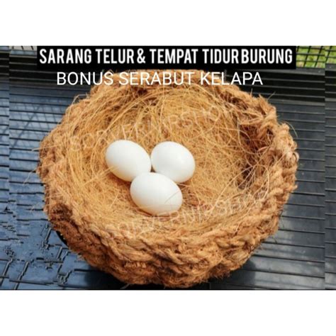 Jual Sarang Tempat Wadah Bertelur Telur Burung Anyaman Sabut Kelapa