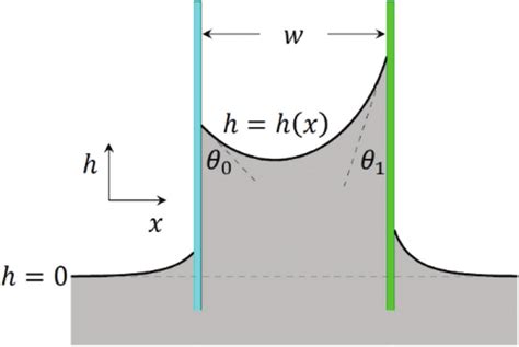 Schematic Of The 2d Free Surface Capillary Rise Between Two Vertical Download Scientific