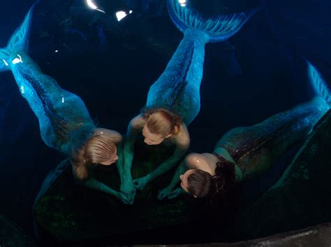 Mako Mermaids Aquata