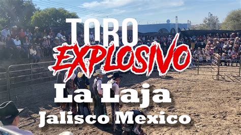 Toro Explosivo La Laja 2023 Ganadería Samuel Pedrero YouTube