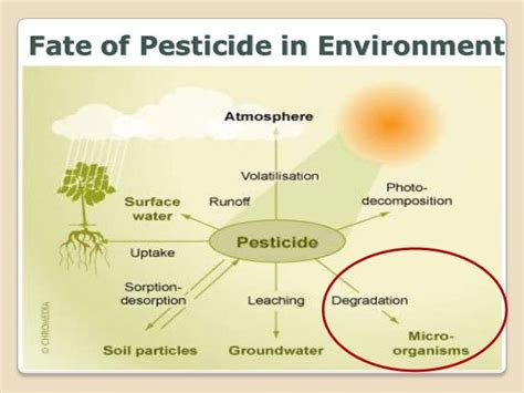 Pesticides Degradation Through Microorganisms Biodegradtion