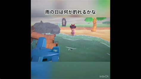 雨の日の釣り Animal あつ森 Short あつ森 動画まとめ