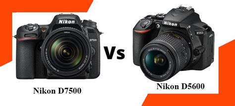 Nikon D5600 vs D7500 – My Blog