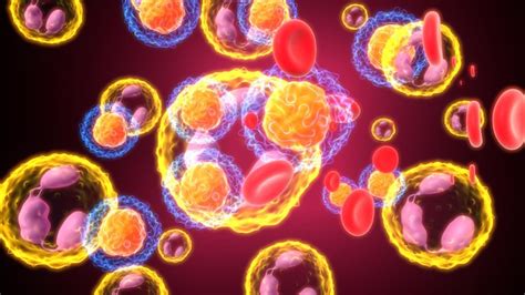 premium photo  picture   virus  bacteria