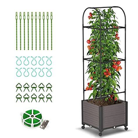 The Best Self Watering Planters With Trellises I Tested 10 And These