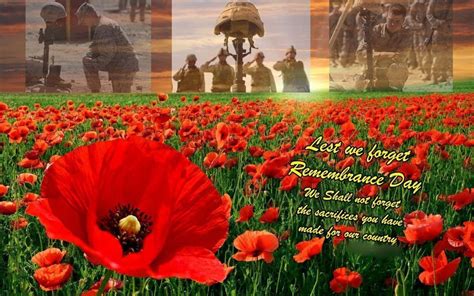 100 Remembrance Day Pictures