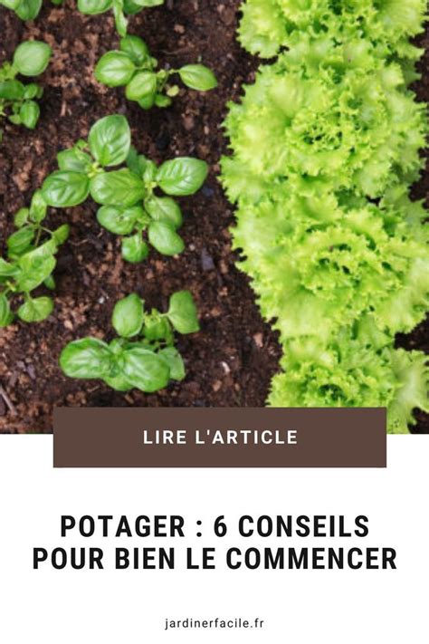 Potager Conseils Pour Bien Le Commencer Commencer Un Potager