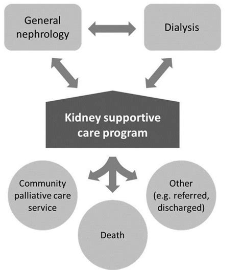 The Kidney Supportive Care Programme Characteristics Of Patients