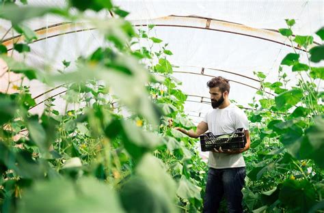 Mejores Prácticas Para La Fertilización Eficiente Nutri Humic