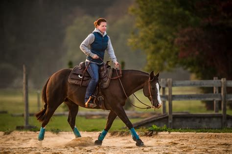 Kompendium wiedzy o koniach koń Quarter Horse Dressage pl