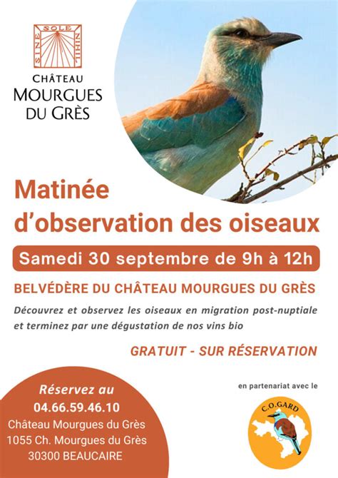 Matinée dobservation des oiseaux Samedi 30 septembre 2023 Mourgues