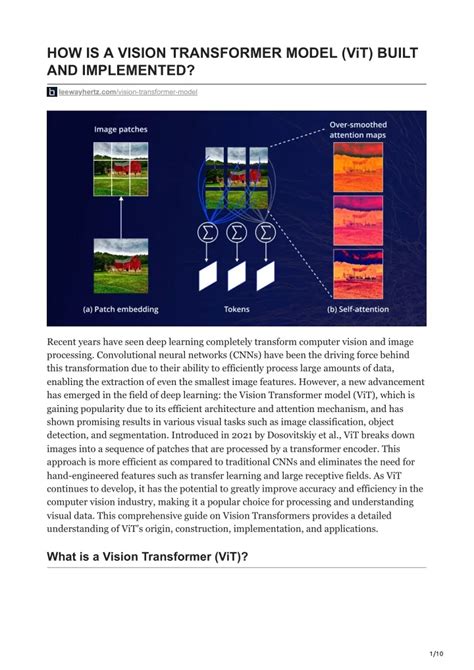 PPT Leewayhertz HOW IS A VISION TRANSFORMER MODEL ViT BUILT AND