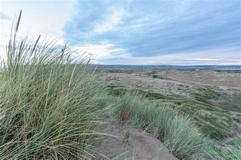 A View Across Braunton Burrows Sand Dunes With Marram Gras Flickr