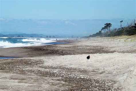 Fotos gratis playa mar costa arena Oceano apuntalar ola bahía