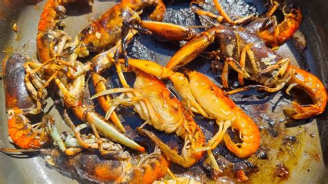 Yabby catch and cook | How to cook yabbies in a frying pan - YouTube