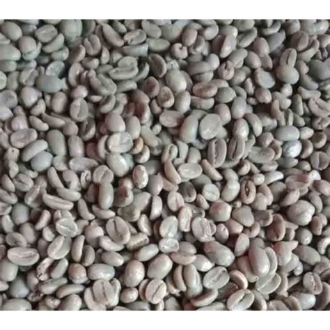 Jual Kopi Greenbean Robusta Dan Arabika Biji Kopi Harga Per Kilo