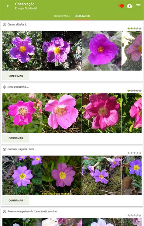 Plantnet Identifica O Planta Apps Para Android No Google Play