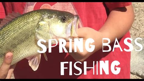 Top Baits For Spring Colorado Bass Youtube