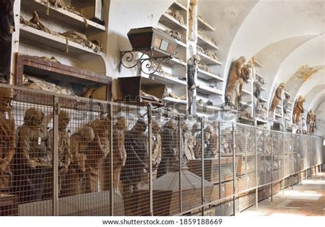 Mummified Remains Catacombs Capuchin Monastery Palermo Stock Photo 1859188669 | Shutterstock