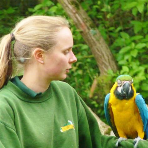 Love Your Zoo Week At Birdworld Hampshires Top Attractions