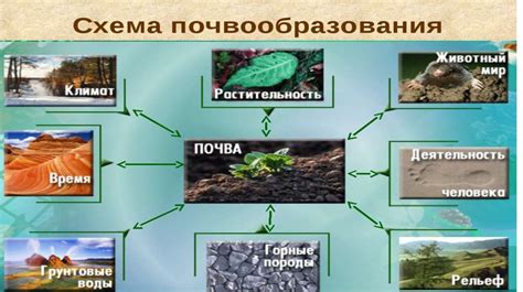 Почва особое природное тело online presentation