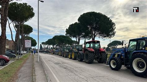 Gli Agricoltori Scendono In Piazza Ma Non Chiamateli Forconi True News