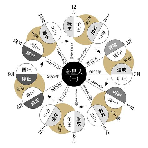 金星人－（マイナス）｜細木かおりさんが六星占術で占う2024年の運命