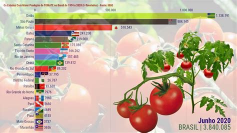 Ranking da Produção de Tomate dos Estados do Brasil YouTube