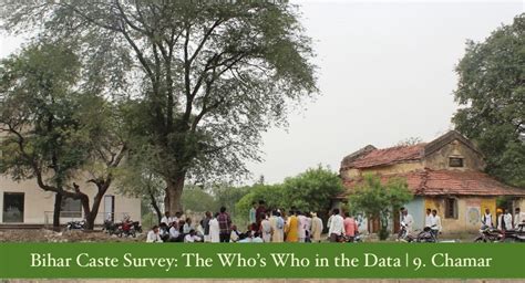 Bihar Caste Survey The Whos Who In The Data Chamar