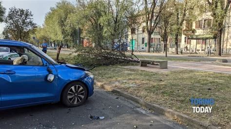 Incidente In Corso Tazzoli Angolo Via D Arborea A Torino Auto