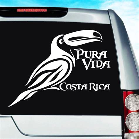 Costa Rica Pura Vida Toucan Bird Rainforest Wildlife Car Window Vinyl