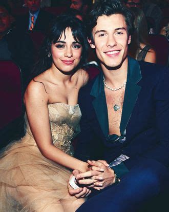 Sean Mendes Y Camila Cabello Se Separan