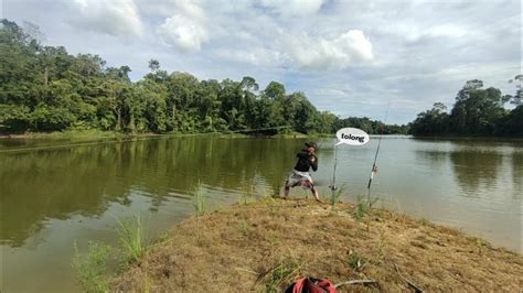 NGERI Sambaran Ikan Toman Besar Butuh Tenaga Perlawannya YouTube