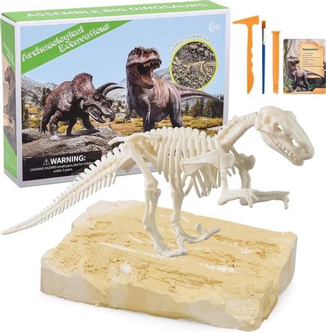 Annleap Kit De Excavaci N De Huesos De Dinosaurio Para Ni Os Juego De