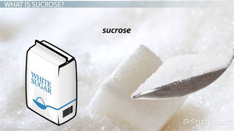 What is Sucrose? - Function, Structure & Chemical Equation - Video ...