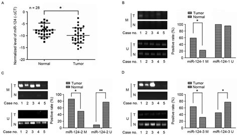 MiR 124 Genes Were Frequently Methylated And The Expression Of MiR 124